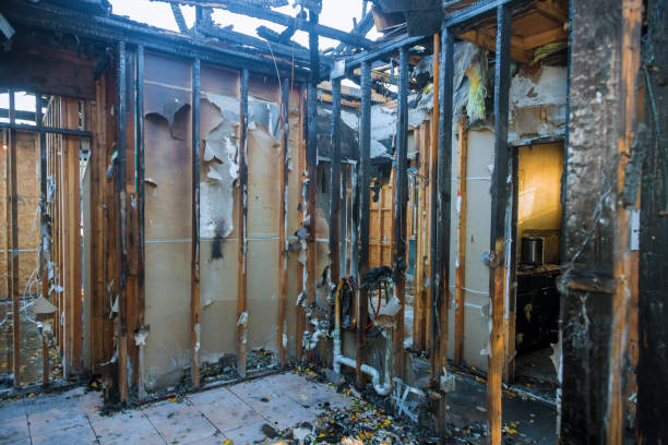 Professional Fire Damage Removal technician working in Hettinger, ND